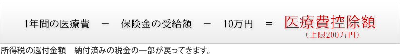 医療費控除額の計算式